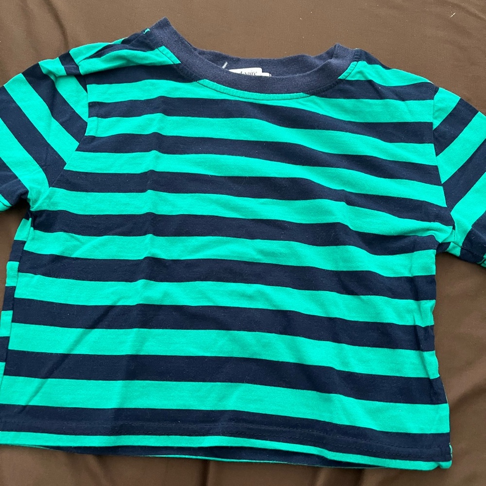 Green/Navy Striped Crop Top